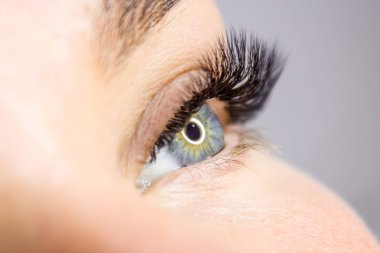 Kirpik uzatma yordamı. Kadın uzun yanlış Eyelashes gözle. Moda gözleri visagein güzellik salonu içinde makro çekim kapatın.