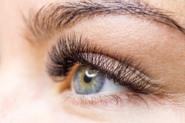 Kirpik uzatma yordamı. Kadın uzun yanlış Eyelashes gözle. Moda gözleri visagein güzellik salonu içinde makro çekim kapatın.
