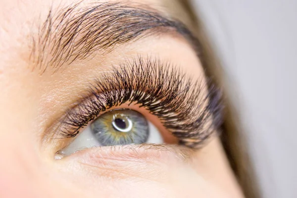Kirpik uzatma yordamı. Kadın uzun yanlış Eyelashes gözle. Moda gözleri visagein güzellik salonu içinde makro çekim kapatın.
