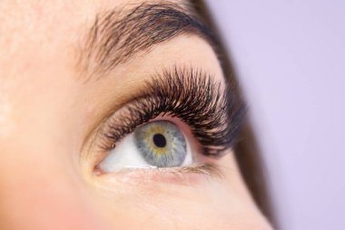 Güzellik ve moda kavramı - kirpik uzatma yordamı. Kadın uzun yanlış Eyelashes gözle. Atış makroyu kapatın
