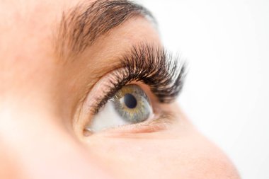 Güzellik ve moda kavramı - kirpik uzatma yordamı. Kadın uzun yanlış Eyelashes gözle. Atış makroyu kapatın