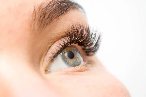 Güzellik ve moda kavramı - kirpik uzatma yordamı. Kadın uzun yanlış Eyelashes gözle. Atış makroyu kapatın