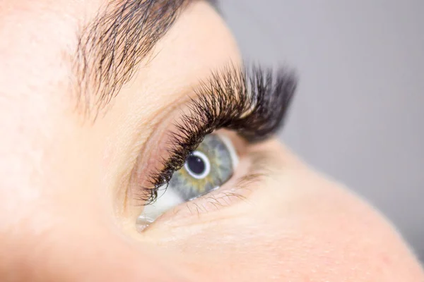 Beauty and fashion concept - Eyelash Extension Procedure. Woman Eye with Long false Eyelashes. Close up macro shot
