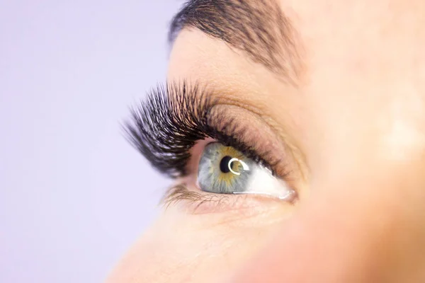 Beauty and fashion concept - Eyelash Extension Procedure. Woman Eye with Long false Eyelashes. Close up macro shot