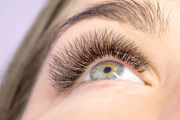 Güzellik ve moda kavramı - kirpik uzatma yordamı. Kadın uzun yanlış Eyelashes gözle. Atış makroyu kapatın
