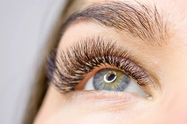 Beauty and fashion concept - Eyelash Extension Procedure. Woman Eye with Long false Eyelashes. Close up macro shot