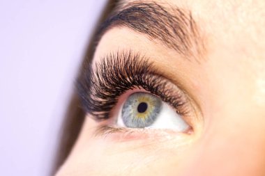 Kirpik uzatma yordamı. Kadın uzun yanlış Eyelashes gözle. Moda gözleri visagein güzellik salonu içinde makro çekim kapatın.