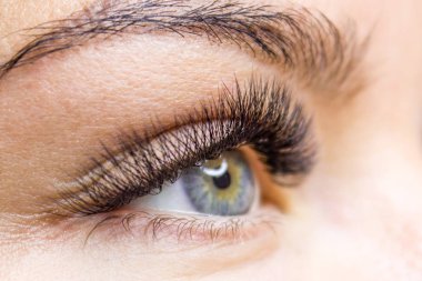 Kirpik uzatma yordamı. Kadın uzun yanlış Eyelashes gözle. Moda gözleri visagein güzellik salonu içinde makro çekim kapatın.