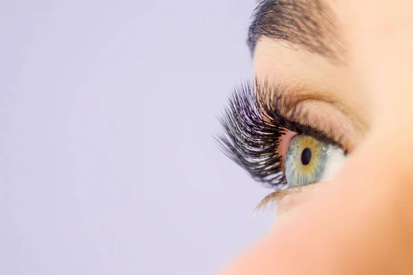 Eyelash Extension Procedure. Woman Eye with Long false Eyelashes. Close up macro shot of fashion eyes visagein in beauty salon.