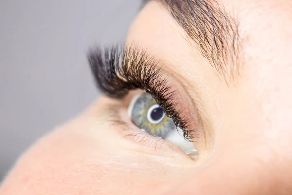 Kirpik uzatma yordamı. Kadın uzun yanlış Eyelashes gözle. Moda gözleri visagein güzellik salonu içinde makro çekim kapatın.