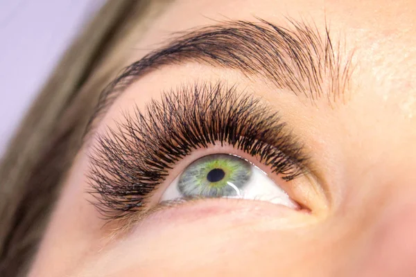 Wimpernverlängerung Frauenauge Mit Langen Falschen Wimpern Nahaufnahme Makroaufnahme Von Modeaugen — Stockfoto