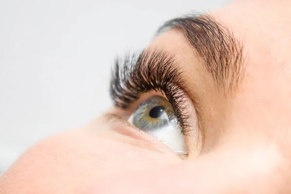 Eyelash Extension Procedure. Woman Eye with Long false Eyelashes. Close up macro shot of fashion eyes visagein in beauty salon.