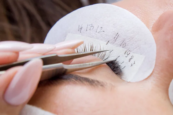 Güzellik ve moda kavramı - kirpik uzatma yordamı. Kadın uzun yanlış Eyelashes gözle. Cımbız üstadı çalışıyor.