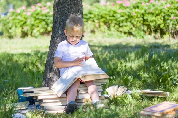 education, knowledge, and people concept - little prodigy Boy is reading big book in garden. Staircase and Steps of Books