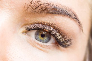 Güzellik ve moda kavramı - kirpik uzatma yordamı. Kadın uzun yanlış Eyelashes gözle. Atış makroyu kapatın