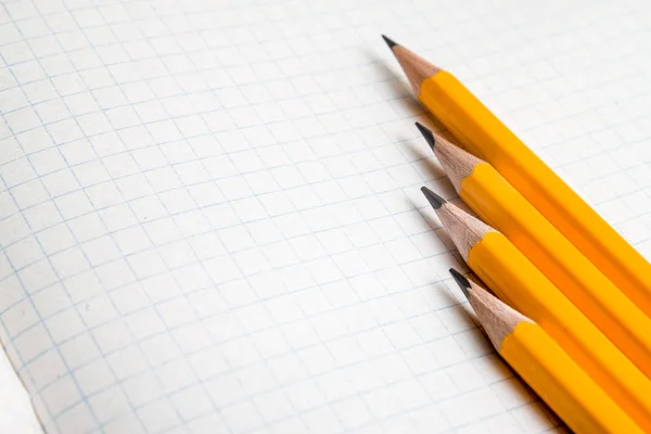 Volta Escola Conceito Educação Lápis Laranja Perto Notebook Sobre Fundo — Fotografia de Stock