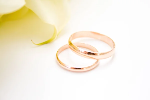 wedding symbols two golden rings with callas white flowers - love, family, celebration, ceremony concept