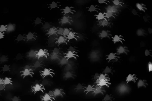 Cadılar Bayramı Arka Plan Için Siyah Üzerinde Defocused Beyaz Örümcekler — Stok fotoğraf