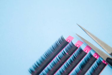 Beauty and fashion concept - tools for Eyelash Extension Procedure. Two tweezers with artificial black lashes on blue background. copyspace mockup clipart