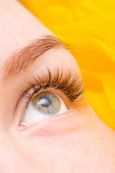 Beauty and fashion concept - Eyelash Extension Procedure. Woman Eye with Long false Eyelashes. Close up macro shot Close up macro shot of fashion eyes visagein in beauty salon.