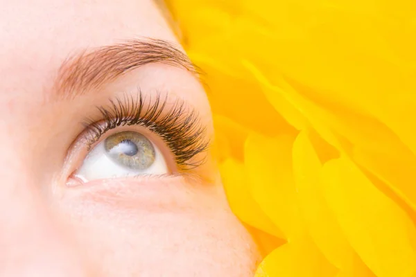 Concept Beauté Mode Procédure Extension Des Cils Œil Femme Avec — Photo