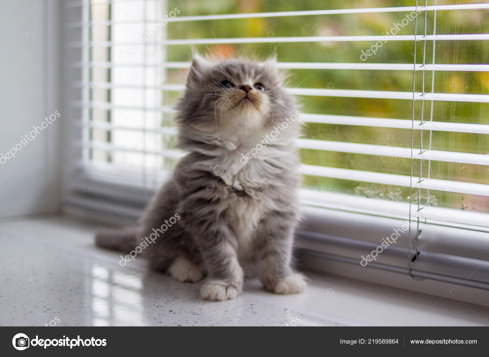 帶著熊貓寶寶一起出遊！【Felissimo】熊貓寶寶手帕、育兒袋小包、立體收納包, image size:1600x1167