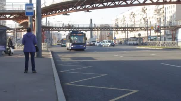 러시아 페테르부르크 10월 2018 트롤리 버스가 가을에 화창한 도시에서 도로에 — 비디오