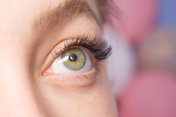 Eyelash Extension Procedure. Woman Eye with Long false Eyelashes. Close up macro shot of fashion eyes visagein in beauty salon.