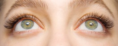 Kirpik uzatma yordamı. Kadın uzun yanlış Eyelashes gözle. Moda gözleri visagein güzellik salonu içinde makro çekim kapatın.