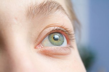 Kirpik uzatma yordamı. Kadın göz yordamı uzun yanlış kirpik olmadan önce. Gözlerinin içine güzellik salonları makro çekim kapatın.