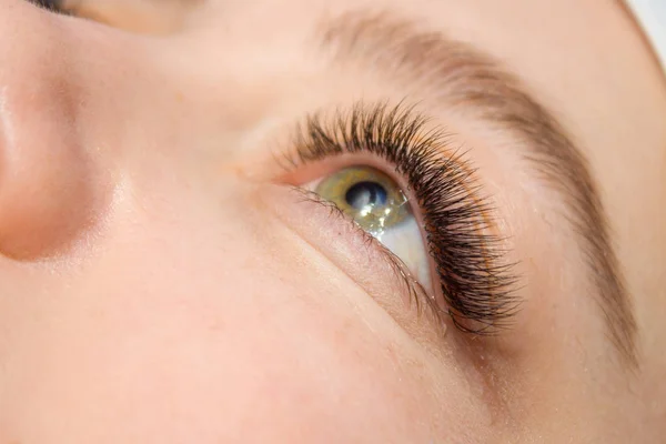 Eyelash Extension Procedure. Woman Eye with Long false Eyelashes. Close up macro shot of fashion eyes visagein in beauty salon.