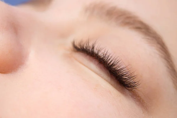 Eyelash Extension Procedure. Woman Eye with Long false Eyelashes. Close up macro shot of fashion eyes visagein in beauty salon.