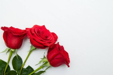 Beyaz ahşap zemin üzerinde üç kırmızı gül. kopya alanı - Sevgililer ve 8 Mart anne kadın gün kavramı