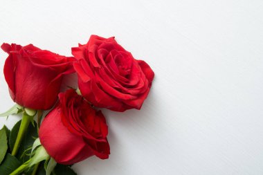 Beyaz ahşap zemin üzerinde üç kırmızı gül. kopya alanı - Sevgililer ve 8 Mart anne kadın gün kavramı