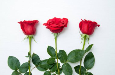 Beyaz ahşap zemin üzerinde üç kırmızı gül. -Sevgililer ve 8 Mart anne kadın gün kavramı