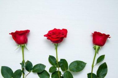 Beyaz ahşap zemin üzerinde üç kırmızı gül. kopya alanı - Sevgililer ve 8 Mart anne kadın gün kavramı