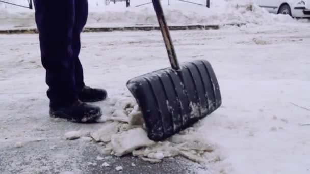 サービス会社は 家の庭と雪と氷からの歩道を清掃します 制服を着た二人の男が シャベルを手に持って働いている — ストック動画