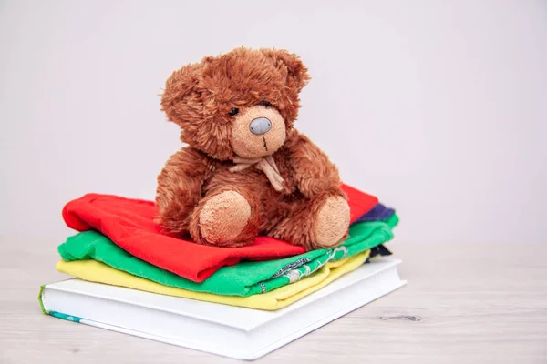 Donation concept. Donate things with kids clothes, books, school supplies and toys. Teddy bear. Copyspace for text.