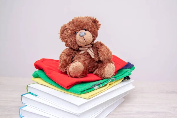 Donation concept. Donate things with kids clothes, books, school supplies and toys. Teddy bear. Copyspace for text.