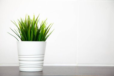 Closeup modern temiz mutfak iç boş beyaz duvar arka plan üzerinde çiçek pot ve çim tesisi, sizin metin için yer ile İskandinav tarzında. En az kompozisyon.