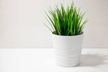 Closeup modern temiz mutfak iç boş beyaz duvar arka plan üzerinde çiçek pot ve çim tesisi, sizin metin için yer ile İskandinav tarzında. En az kompozisyon.
