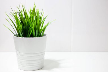 Closeup modern temiz mutfak iç boş beyaz duvar arka plan üzerinde çiçek pot ve çim tesisi, sizin metin için yer ile İskandinav tarzında. En az kompozisyon.