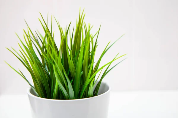 Closeup modern clean kitchen interior in scandinavian style with flower pot and grass plant on empty white wall background, place for your text. Minimal composition. — Stock Photo, Image