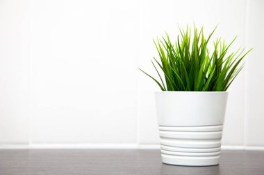 Closeup modern temiz mutfak iç boş beyaz duvar arka plan üzerinde çiçek pot ve çim tesisi, sizin metin için yer ile İskandinav tarzında. En az kompozisyon.