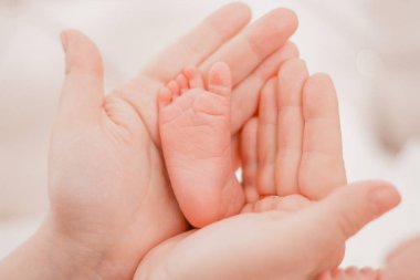 Gebelik, annelik, hazırlık ve beklenti annelik, doğum kavramı veren. Annenin elinde yeni doğan bebek ayakları