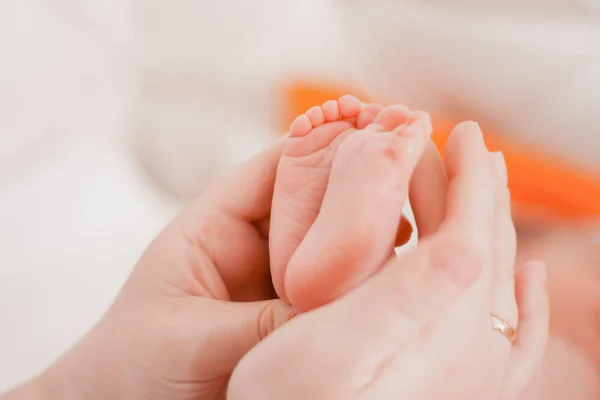 Embarazo, maternidad, preparación y expectativa maternidad, dando a luz concepto. Bebé recién nacido pies en manos de mami — Foto de Stock