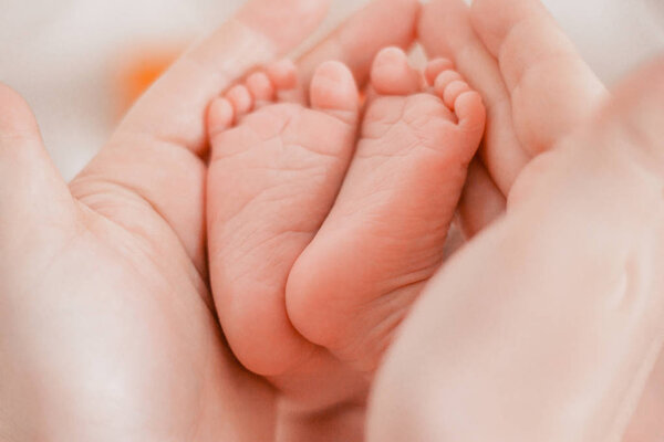 Pregnancy, maternity, preparation and expectation motherhood, giving birth concept. Newborn baby feet in hands of mommy