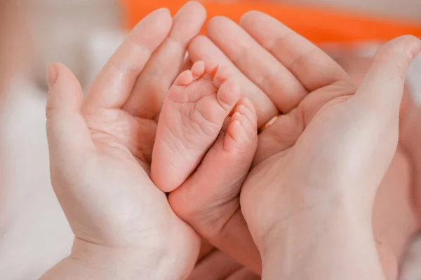 Embarazo, maternidad, preparación y expectativa maternidad, dando a luz concepto. Bebé recién nacido pies en manos de mami — Foto de Stock