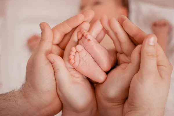 Gravidez, maternidade, preparação e expectativa maternidade, dando à luz conceito. Pés de bebê recém-nascidos nas mãos dos pais — Fotografia de Stock