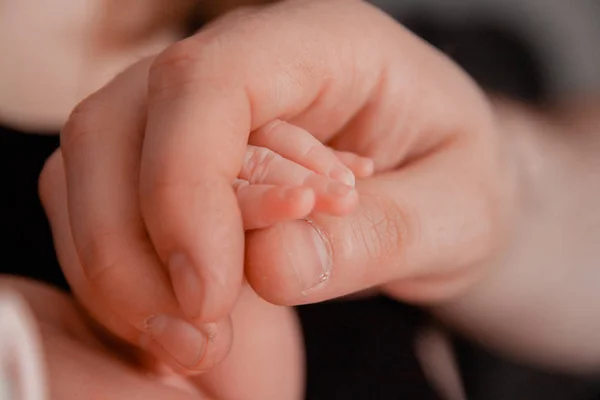Dedos recém-nascidos nas mãos da mamã. Gravidez, maternidade, preparação e expectativa maternidade, dando à luz conceito . — Fotografia de Stock